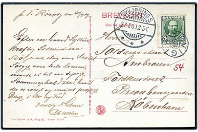 5 øre Fr. VIII på brevkort (Nykøbing Sj., Dybesø og Strandhotellet) annulleret med stjernestempel RØRVIG og sidestemplet Nykjøbing S. d. 27.7.1909 til København.