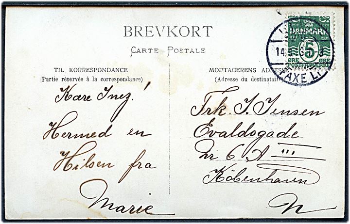 5 øre Bølgelinie på brevkort annulleret med bureaustempel Kjøge Faxe Pl. T.3 d. 14.9.1913 til København.