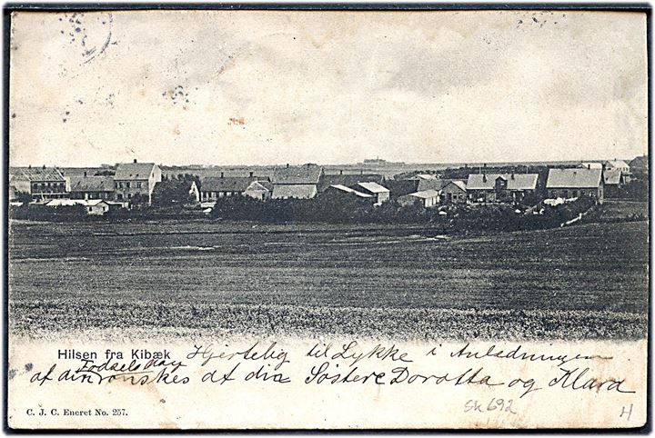 5 øre Chr. IX på brevkort (Hilsen fra Kibæk) annulleret med stjernestempel KIBÆK og sidestemplet bureau Skanderborg - Skjern T.993 d. 14.2.1906 til Tim St.