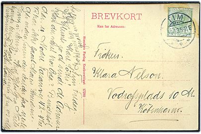 5 øre Fr. VIII helsagsafklip anvendt som frankering på brevkort (Strandparti fra Vesterhavet) stemplet Tim d. 13.9.1913 til København.