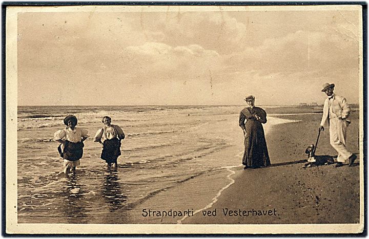 5 øre Fr. VIII helsagsafklip anvendt som frankering på brevkort (Strandparti fra Vesterhavet) stemplet Tim d. 13.9.1913 til København.