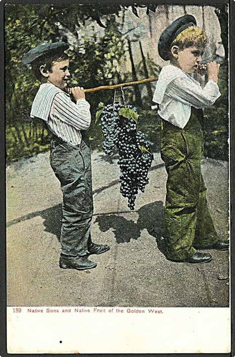 Drenge med en vindrueklase fra Golden West, Californien, USA. C. Weidner no. 189.