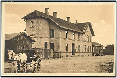 Søllested, jernbanestation med hestevogn. Stenders no. 43004.
