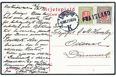 1 eyr og 4 aur To Konger på brevkort (Vestmannaeyjar) dateret på Vestmannaøerne d. 12.10.1909 annulleret med skibsstempel Fra Island og sidestemplet Kjøbenhavn d. 25.10.1909 til Odense, Danmark.