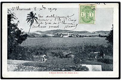 D.V.I., St. Croix, Sugar estate. U/no. Frankeret med 1 cent Våben på billedsiden, et mærke mangler.