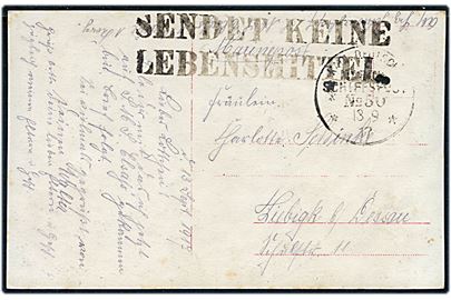 Ufrankeret marinekort stemplet Kais. Deutsche Marineschiffspost No. 50 d. 13.9.1917 (= S.M.S. Elsass) til Liebigk b/ Dessau. 2-liniestempel: SENDET KEINE LEBENSMITTEL.