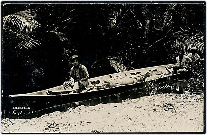 Krokodille i kano. Fotokort u/no.