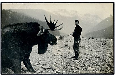 USA, Alaska, Hunting the Big Moose. E. C. Adams u/no.
