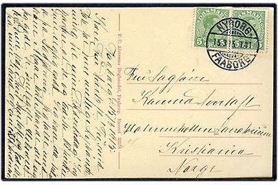 5 øre Chr. X (2) på brevkort (Parti fra Dyreborg ved Faaborg) annulleret med bureaustempel Nyborg - Faaborg T.41 d. 15.3.1915 til Kristiania, Norge. Frimærke yderligt placeret.