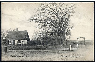Klampenborg, Trepilelaagen til Dyrehaven. A. Nielsen no. 10172.