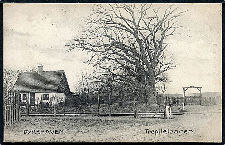 Klampenborg, Trepilelaagen til Dyrehaven. A. Nielsen no. 10172.