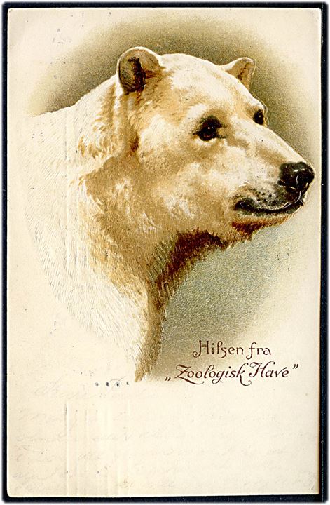 Zoologisk Have, “Hilsen fra” med isbjørn. Reliefkort. U/no. Kvalitet 7