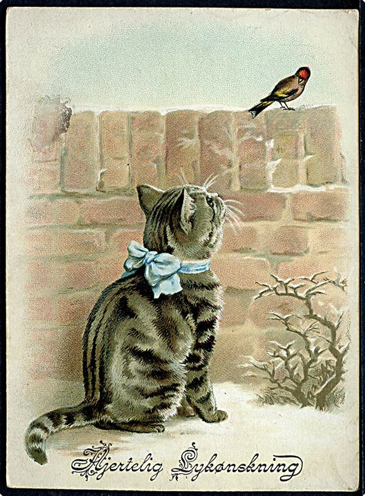 Dyr. Kat med sløjfe. Lykønsknings kartonkort dateret d. 18.5.1894. U/no. Kvalitet 7