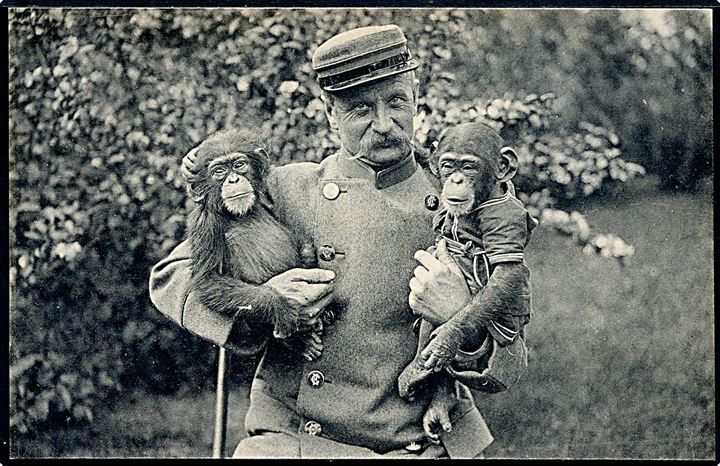 Tyskland, Hamburg. Carl Hagenbeck dyrepark med dyre passe og 2 chimpanse unger. Knackstedt & Näther no. 1907.