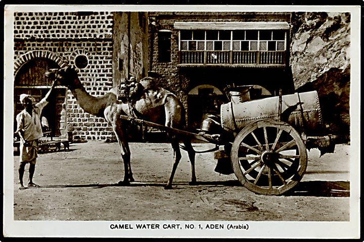 Aden. Camel Water Cart no. 1. Fotokort M. Howard u/no.