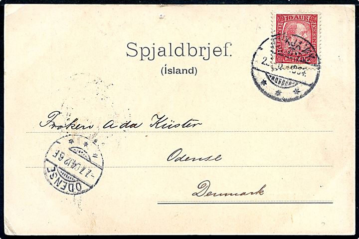 10 aur Chr. IX på brevkort fra Reykjavik d. 23.6.1904 til Odense, Danmark.