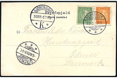3 aur og 5 aur Chr. IX på brevkort (Partier fra Thingvalla) fra Reykjavik d. 23.9.1903 via Kjøbenhavn d. 5.10.1903 til Odense, Danmark.