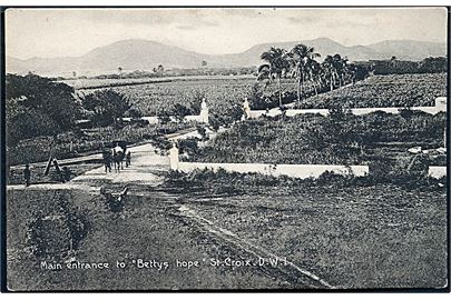 D.V.I., St. Croix. Hovedindgangen til Bettys Hope. A. Ovesen no. 15. 