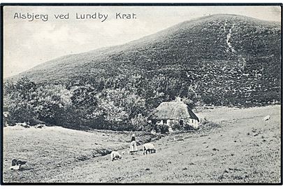 Aalborg. Alsbjerg ved Lundby Krat. Stenders no. 3382.