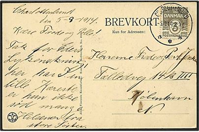 3 øre Bølgelinie på lokalt brevkort annulleret med brotype IIIb stempel Charlottenlund d. 5.9.1914 til København.