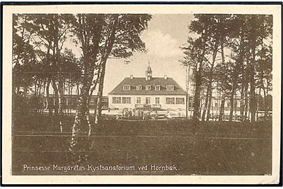 Hornbæk, Prinsesse Margrethes Kystsanatorium. V. Türck no. 797.