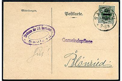 40 mk./20 pfg. Infla tjenestemærke provisorium single på brevkort fra Saulgau d. 18.6.1923 til Blönreid.