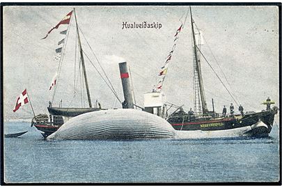 Islandsk hvalfangerskib Nordenskjöld med hval. Koloreret postkort, men for- og bagside formodes ikke at være sammenhørige. A. Vincent no. 115.