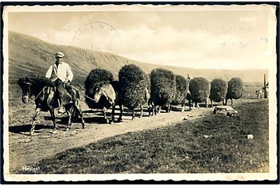 Island, heste med hølæs. B. Pálsson u/no. Frankeret med 7 aur Chr. X og sendt som tryksag fra Reykjavik 1937 til Frankrig.