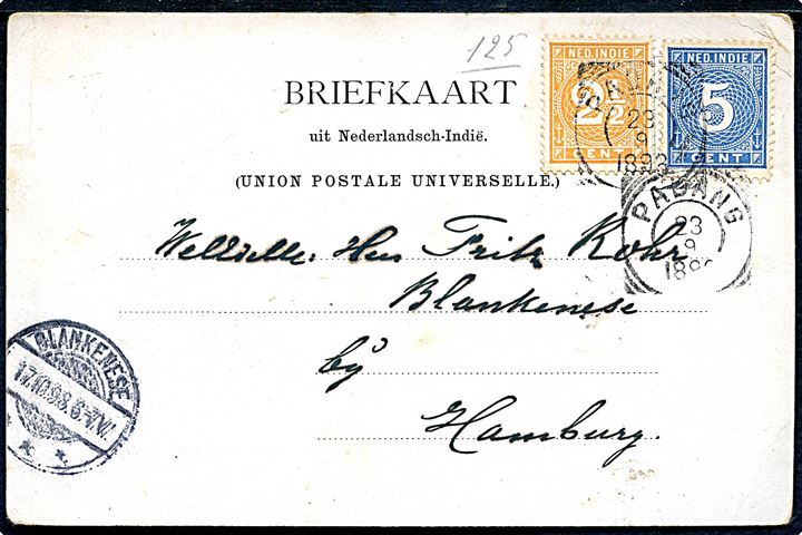2½ c. og 5 c. Ciffer på brevkort (Groet uit Padang) fra Padang d. 23.9.1898 til Blankenese b. Hamburg, Tyskland.