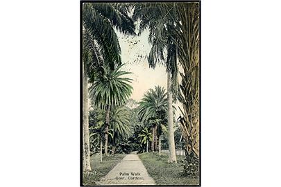 Trinidad, Govt. Gardens, Palm Walk. Goodwille & Wilson, Port of Spain u/no.