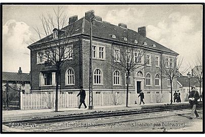 Købh., Bülowsvej med Landbrughøjskolens nye Serums Institut. Stenders no. 14073.