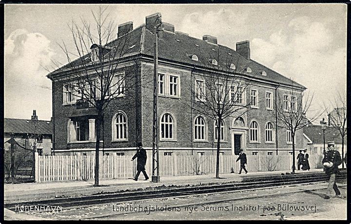 Købh., Bülowsvej med Landbrughøjskolens nye Serums Institut. Stenders no. 14073.