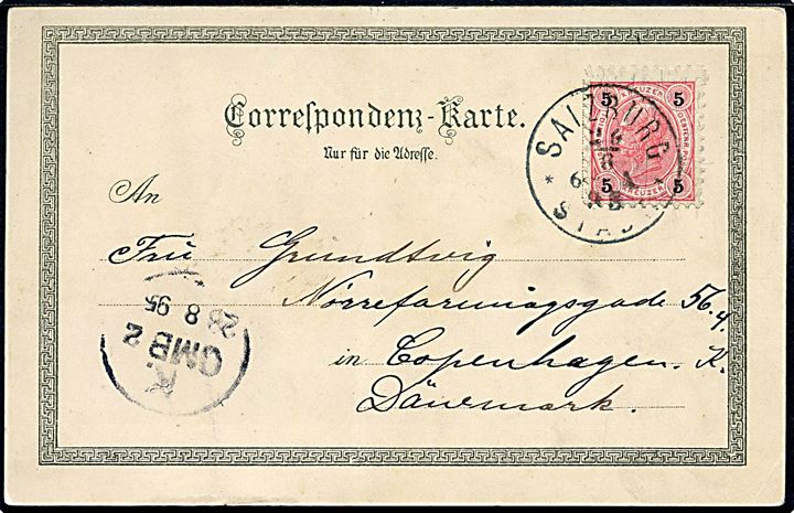Østrig. Grüss aus Salzburg. Sendt fra Salzburg d. 26.8.1895 til København. 