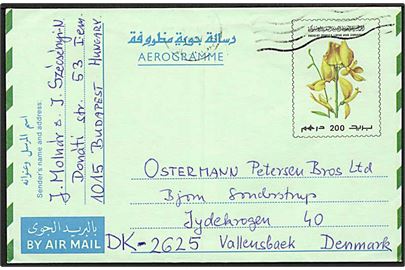 200 illustreret Green Book helsags aerogram fra 1987 til Vallensbæk, Danmark.