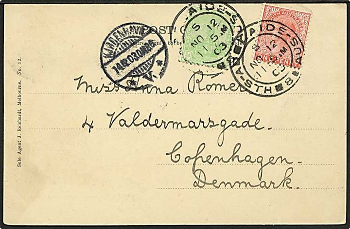 South Australia. ½d og 1d på brevkort fra Adelaide d. 12.11.1903 til København, Danmark.