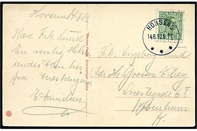 5 øre Chr. X på brevkort (Horsens havn med Aaboulevarden) annulleret med brotype IIIb Horsens d. 14.8.1917 til København.