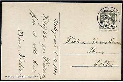 3 øre Bølgelinie på lokalt brevkort annulleret med brotype IIIb Salten d. 5.4.1918 til Them.