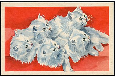 Tegnet kort med katte. Stenders serie no. 5027.