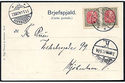 4 aur Chr. IX i parstykke på brevkort (Thingvallir) stemplet Reykjavik d. 29.4.1904 til Kjøbenhavn, Danmark.