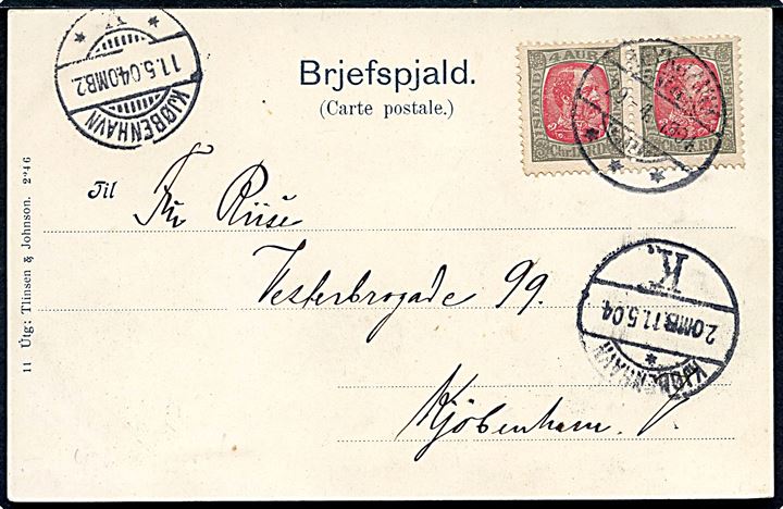 4 aur Chr. IX i parstykke på brevkort (Thingvallir) stemplet Reykjavik d. 29.4.1904 til Kjøbenhavn, Danmark.