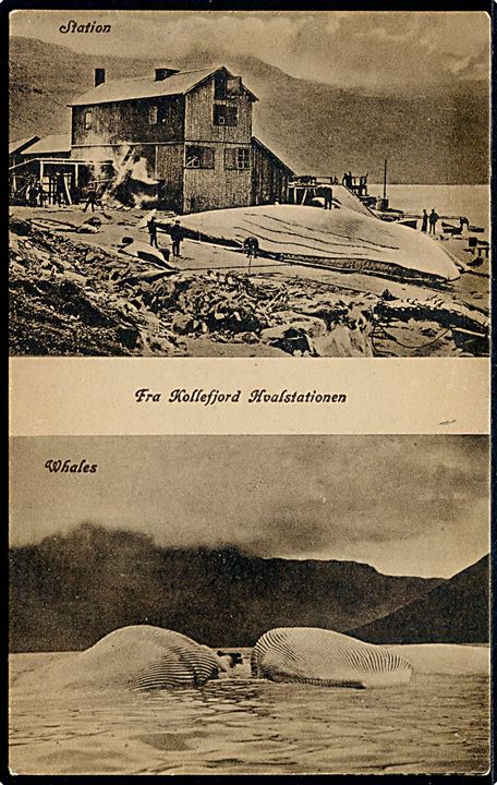 Kollefjord, Hvalstationen og hvaler. A. Brend no. 304319.