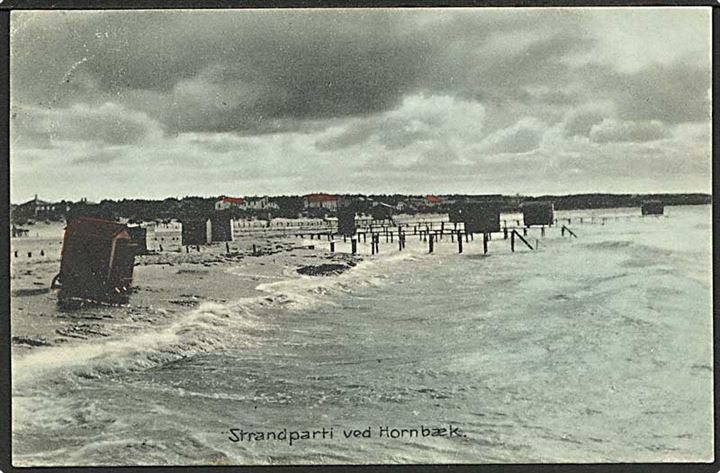 Strandparti fra Hornbæk. Stenders no. 12410.