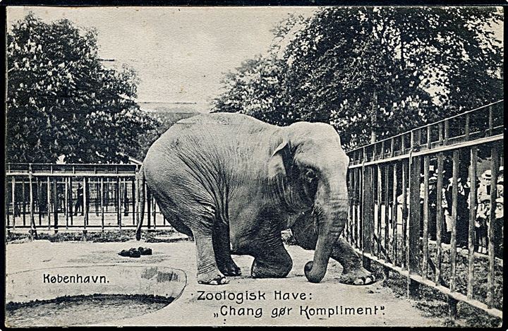 Zoologisk Have. Elefanten Chang gør kompliment, J. Aarby-Sørensen u/no. Kvalitet 8
