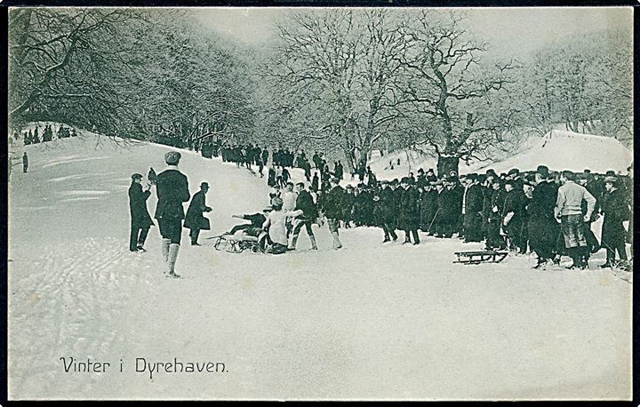 Dyrehaven, kælkebakke ved vinter. Stenders no. 19124. Kvalitet 9
