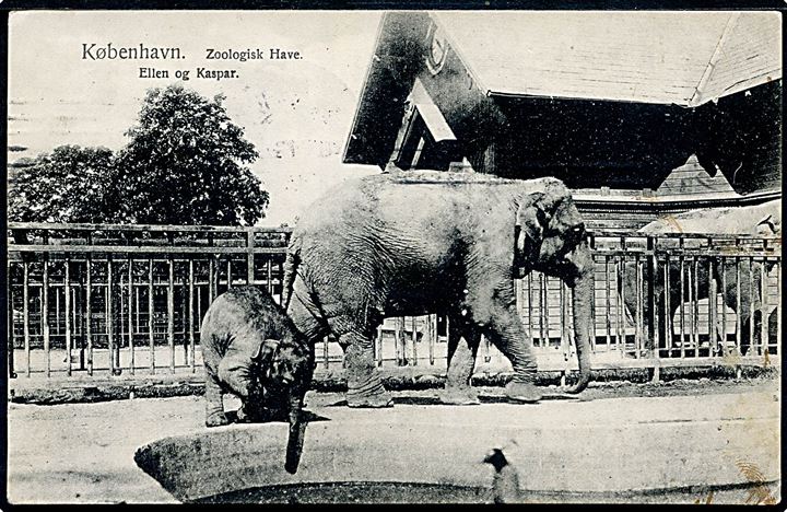 Zoologisk Have. Elefanterne Ellen og Kaspar. Fritz Benzen no. 172. Kvalitet 7