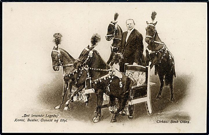 Cirkus. Bech Olsen. “Det levende legetøj” med hestene Knold, Buster, Osvald og Blyt. Centraltrykkeriet u/no. Kvalitet 9