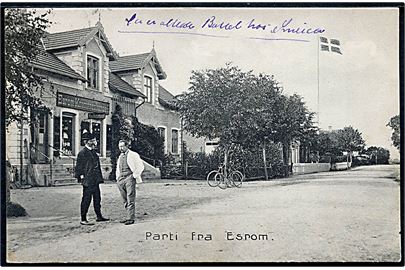 Esrom, parti med Esrom Købmandshandel. Stenders no. 12585
