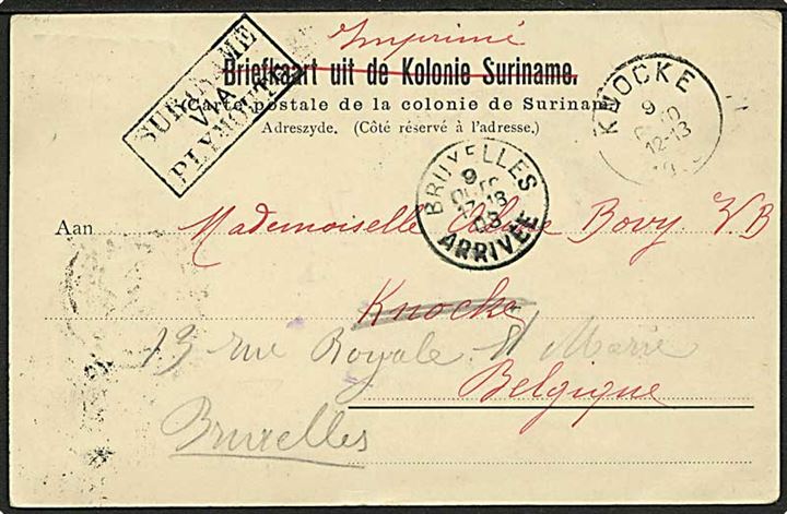 Suriname. 2½ c. på billedside af brevkort sendt som tryksag fra Paramaribo d. 21.9.1903 til Knocke, Belgien - eftersendt. Rammestempel: Surimane via Plymouth.