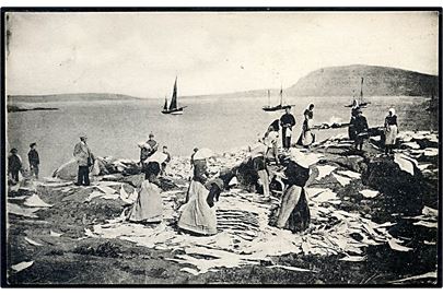 Færøerne, tørring af klipfisk. H. N. Jacobsen u/no. Frankeret med 5 øre og 10 øre Bølgelinie annulleret Thorshavn d. 25.9.1925 til København.