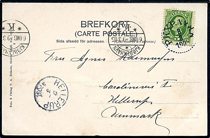 5 öre Oscar II på brevkort fra Sköfte annulleret med bureaustempel PKXP No. 88 (?) d. 8.3.1905 til Hellerup, Danmark. Ank.stemplet med sjældent efteranvendt lapidar stempel Hellerup d. 9.3.1905.